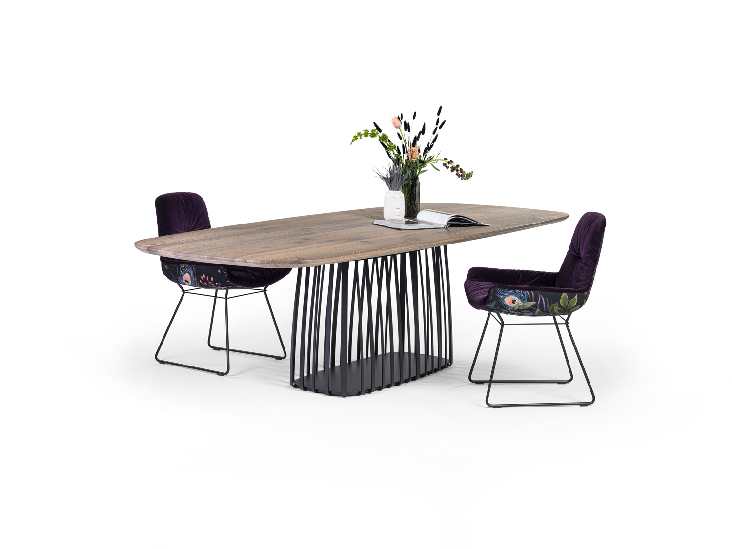 JANUA Galeriebild